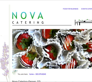 The summer logo, one of several seasonal logos created for Nova Denver Catering and Events that alternate as the header for this website built in 2012 on a custom Wordpress theme for use as a Content Managment System. Albums of photos and logo design by Steuart Bremner, several page and custom post templates, and web design by Terry Talty, Limitless Idea Project